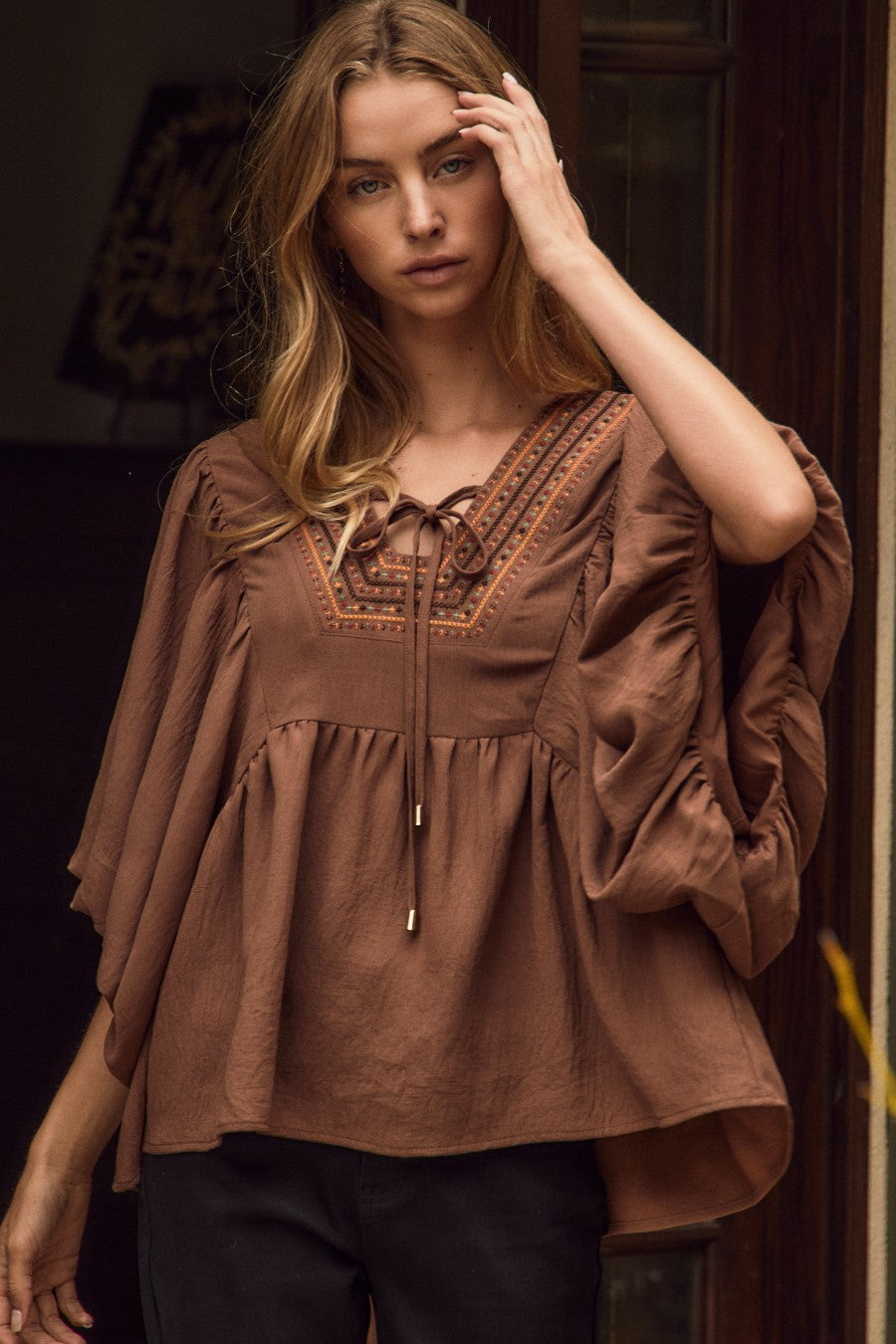 Embroidered Puff Sleeve Blouse