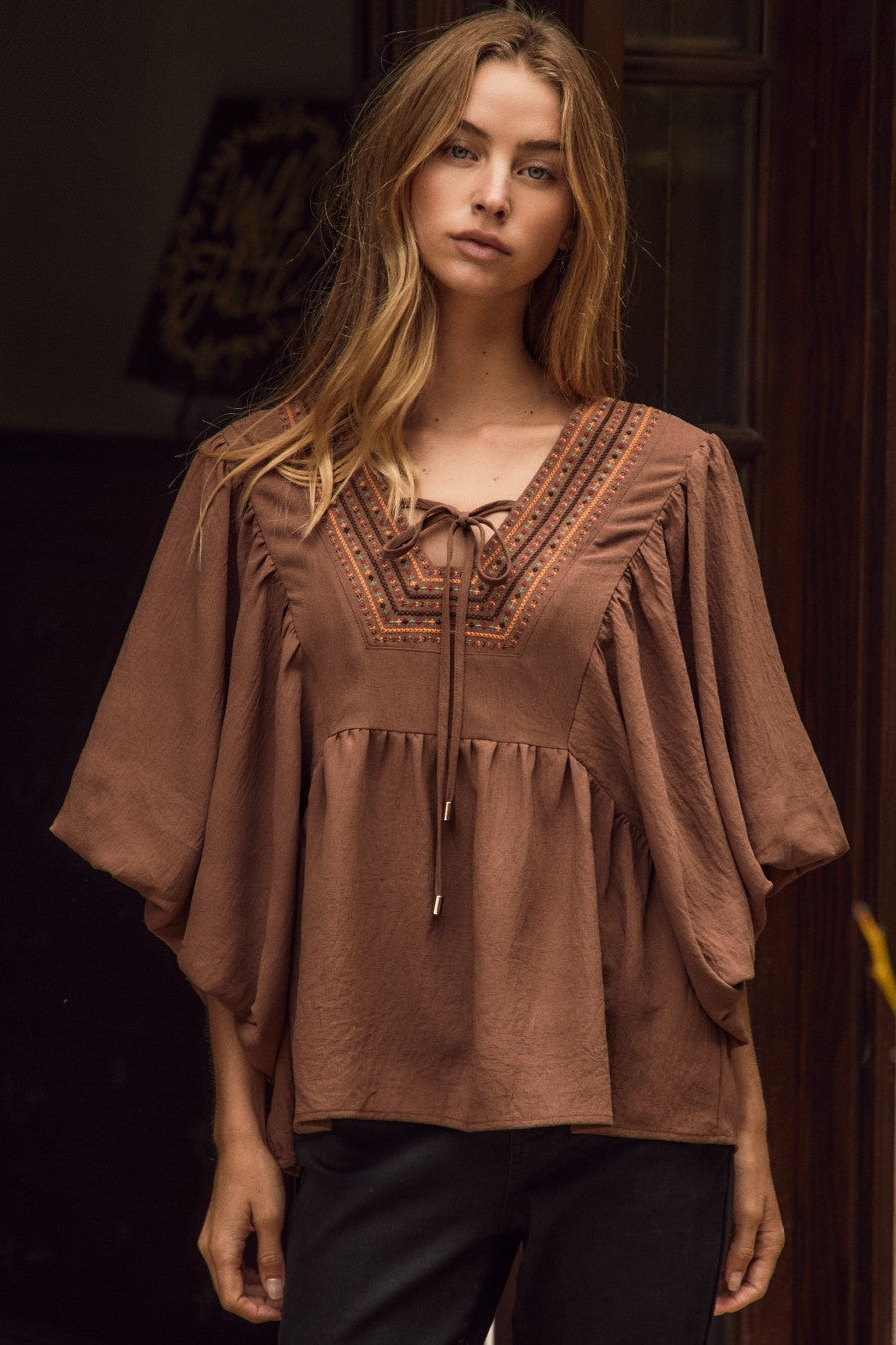 Embroidered Puff Sleeve Blouse