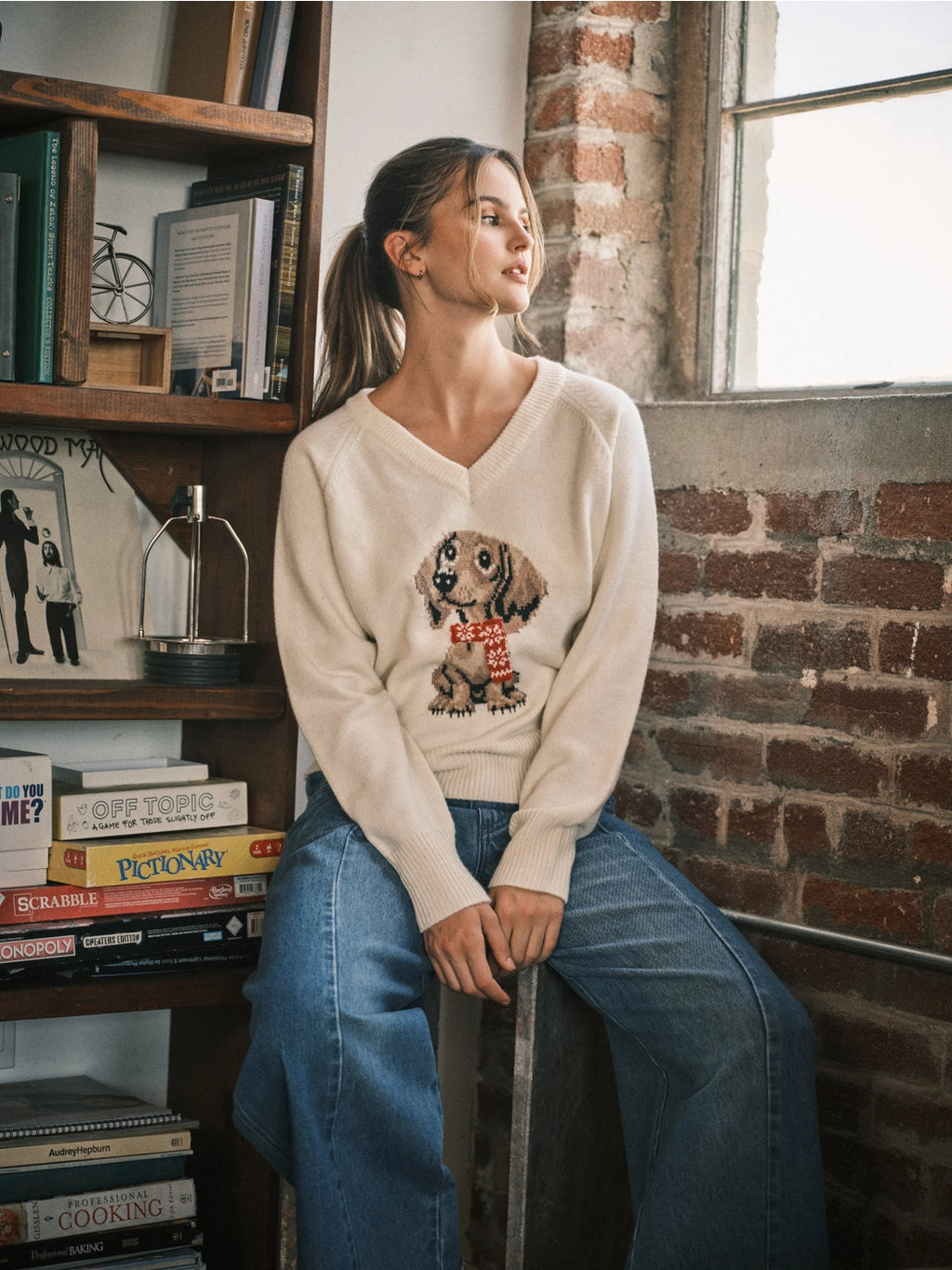 Cozy Dog Graphic V-Neck Sweater Top