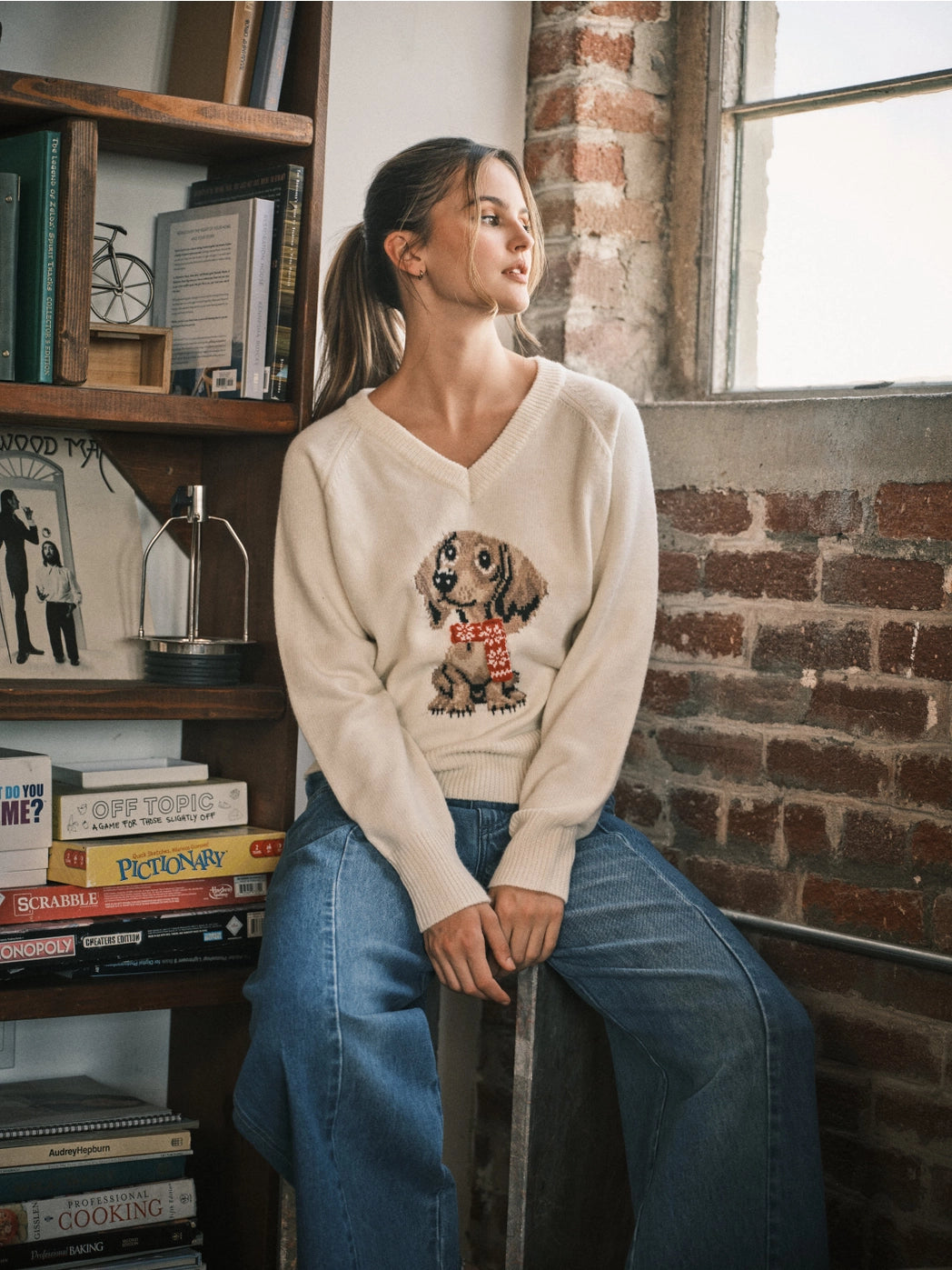 Cozy Dog Graphic V-Neck Sweater Top