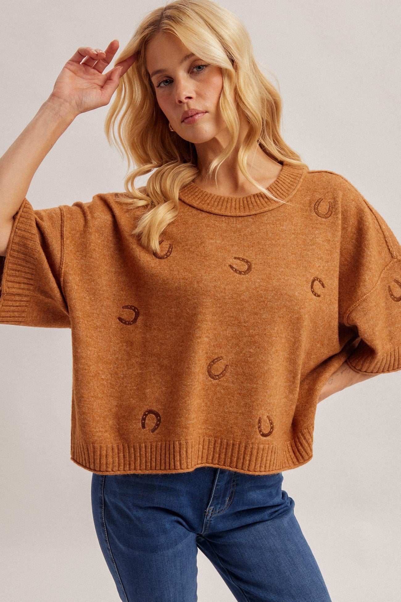 Horseshoe Embroidered Short Sleeve Sweater