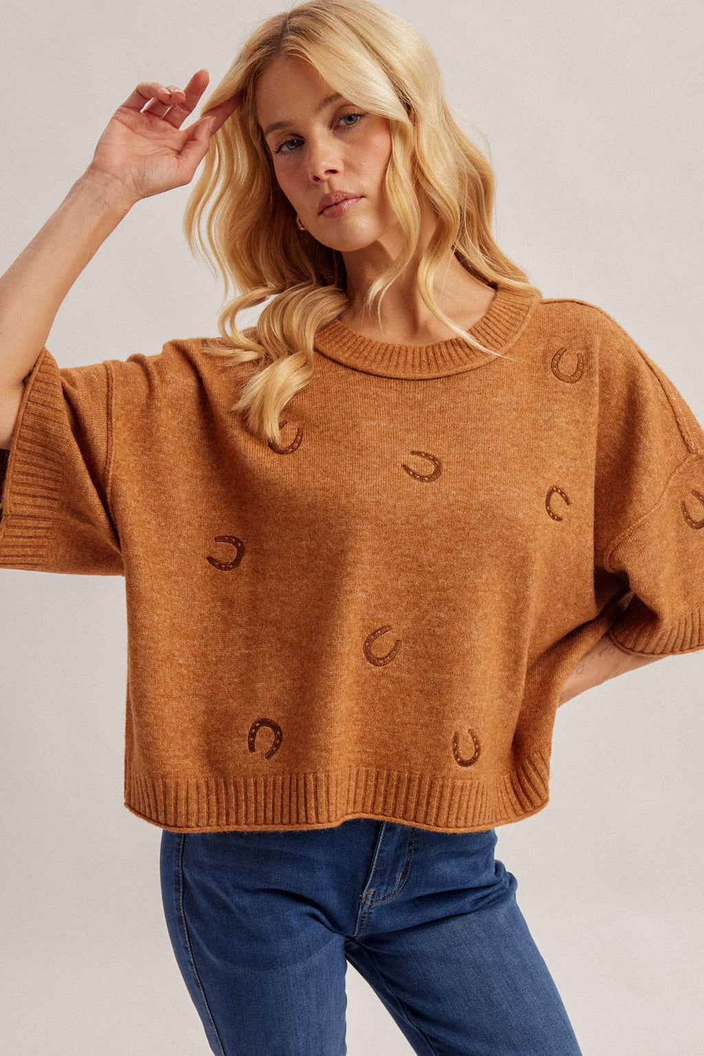Horseshoe Embroidered Short Sleeve Sweater