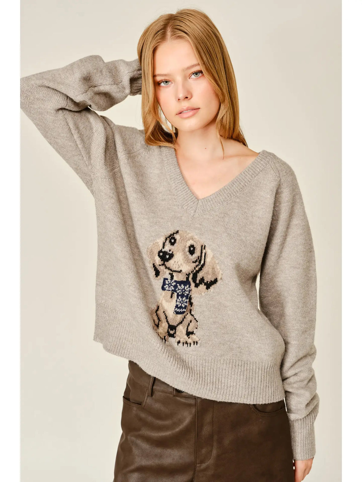 Cozy Dog Graphic V-Neck Sweater Top