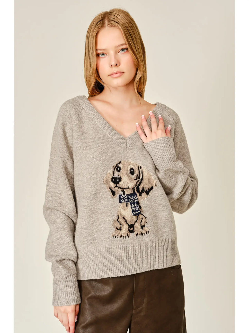 Cozy Dog Graphic V-Neck Sweater Top