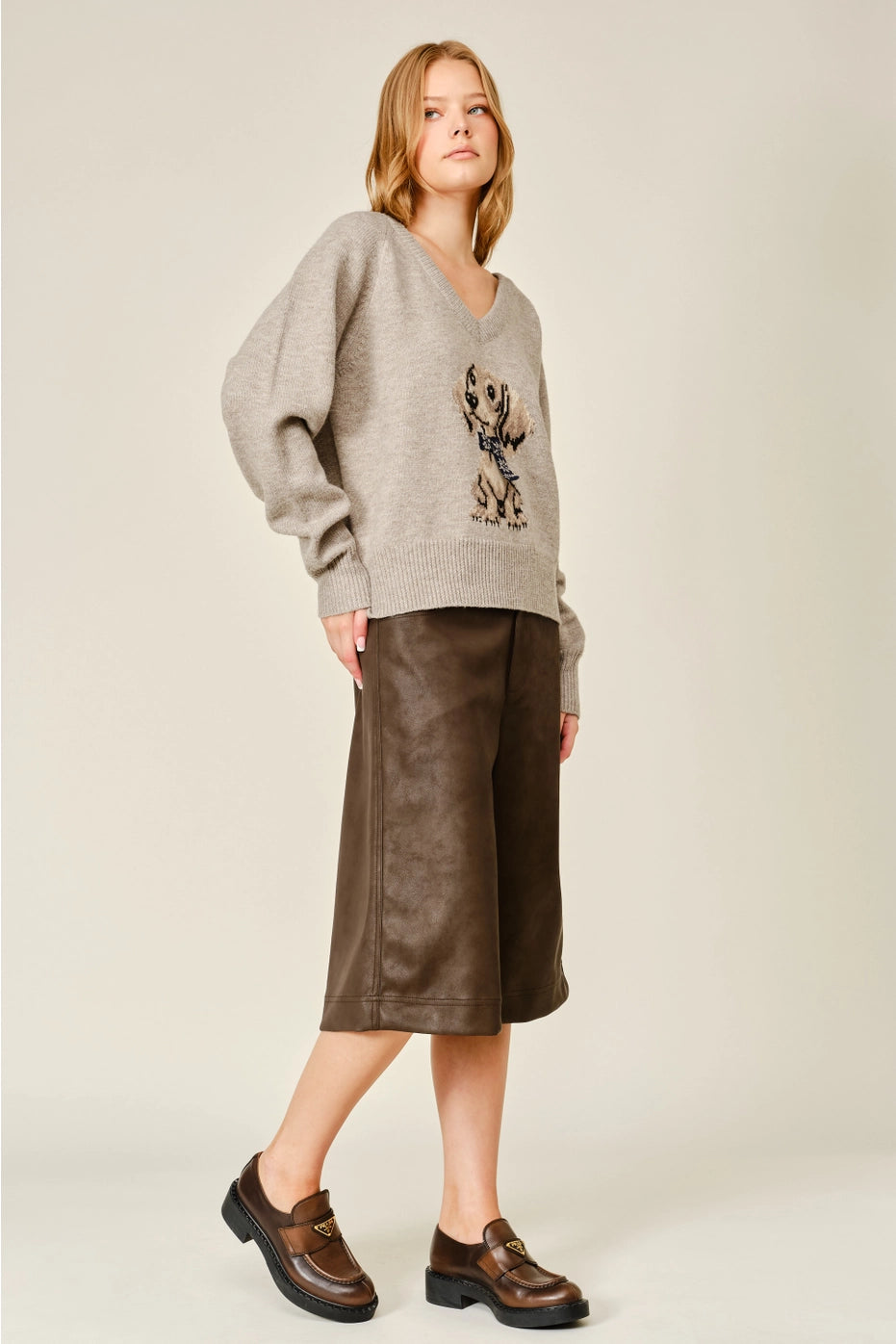 Cozy Dog Graphic V-Neck Sweater Top