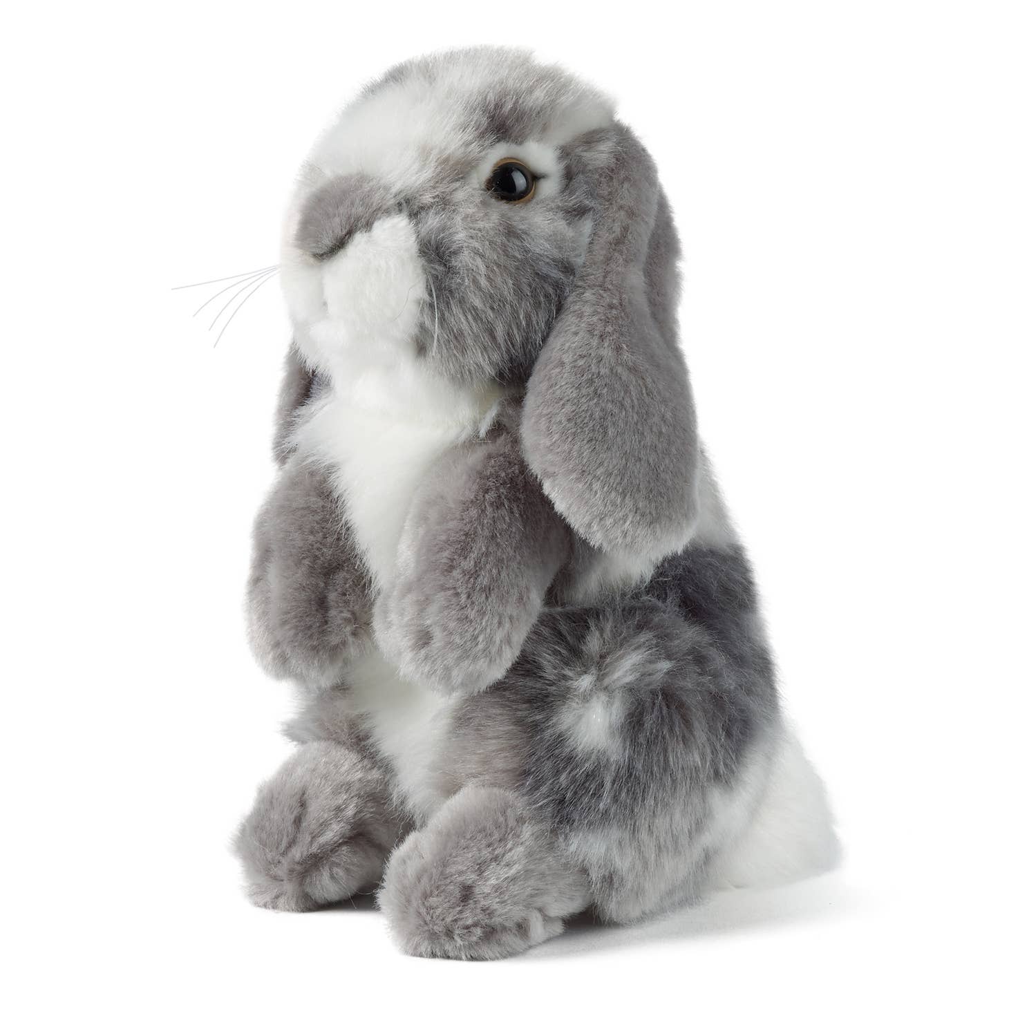 Stuffed Lop Eared Rabbit