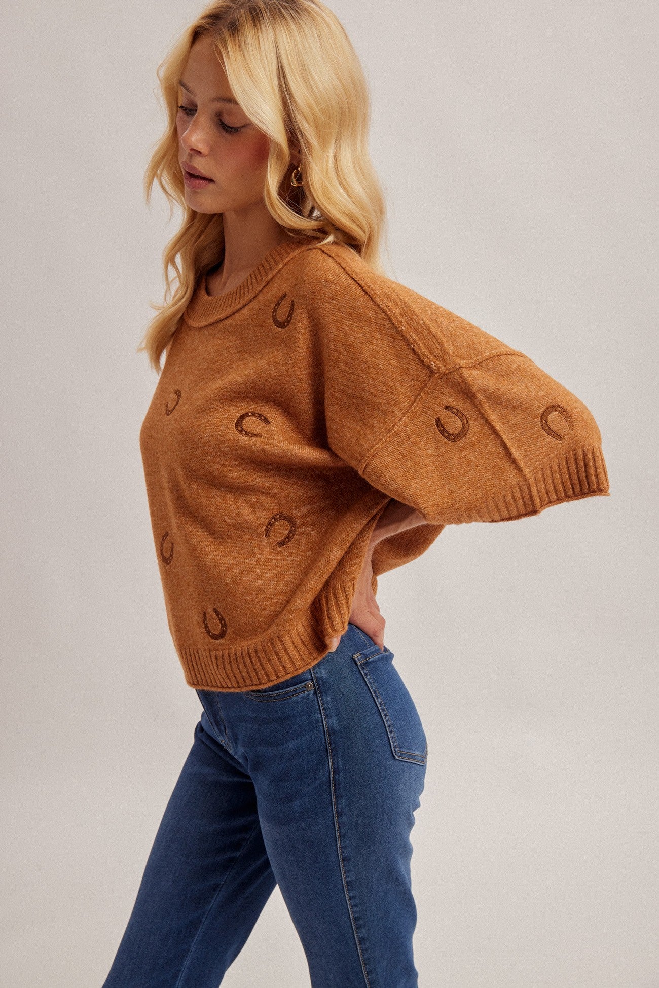 Horseshoe Embroidered Short Sleeve Sweater