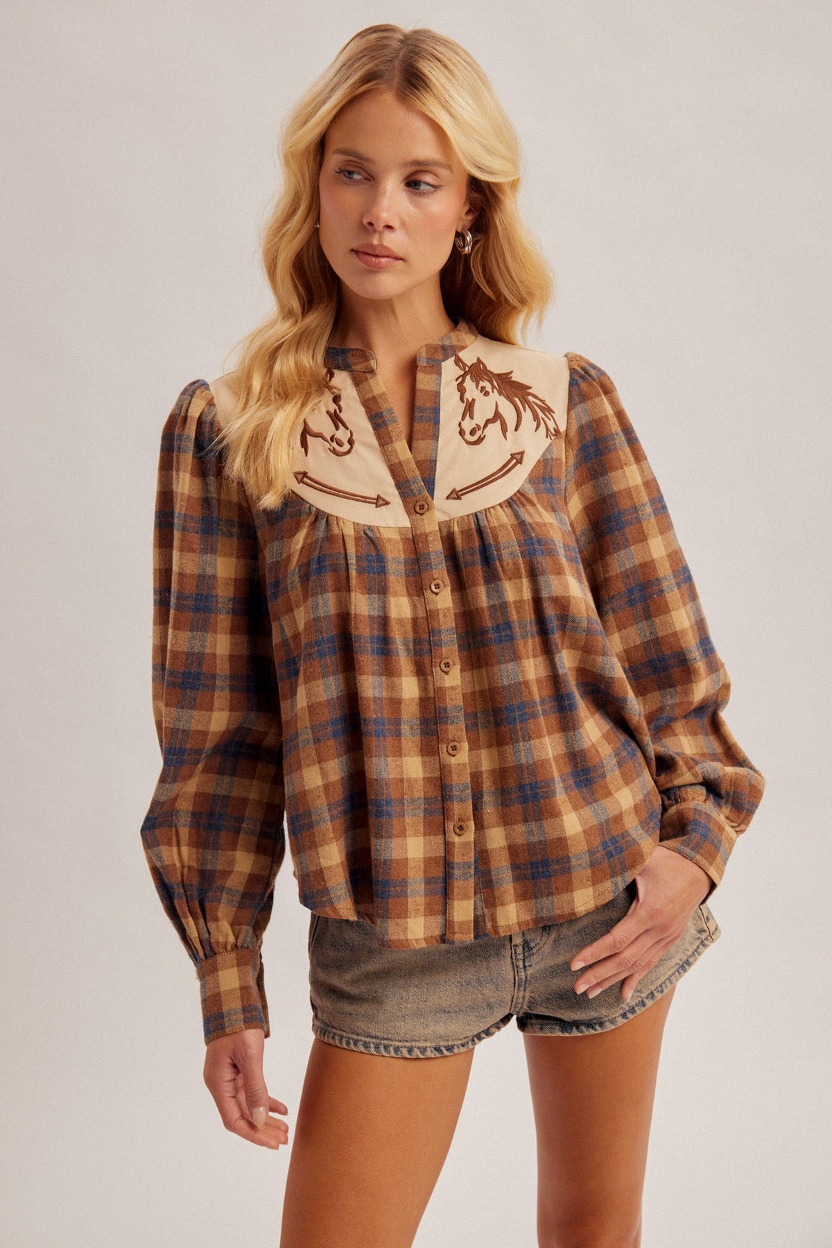 Whinny Embroidered Plaid Top