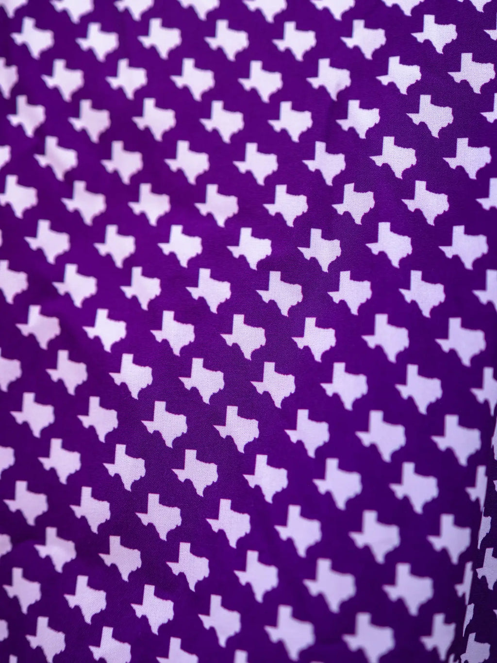 The Fort Worth Pearl Snap Fishing Shirt