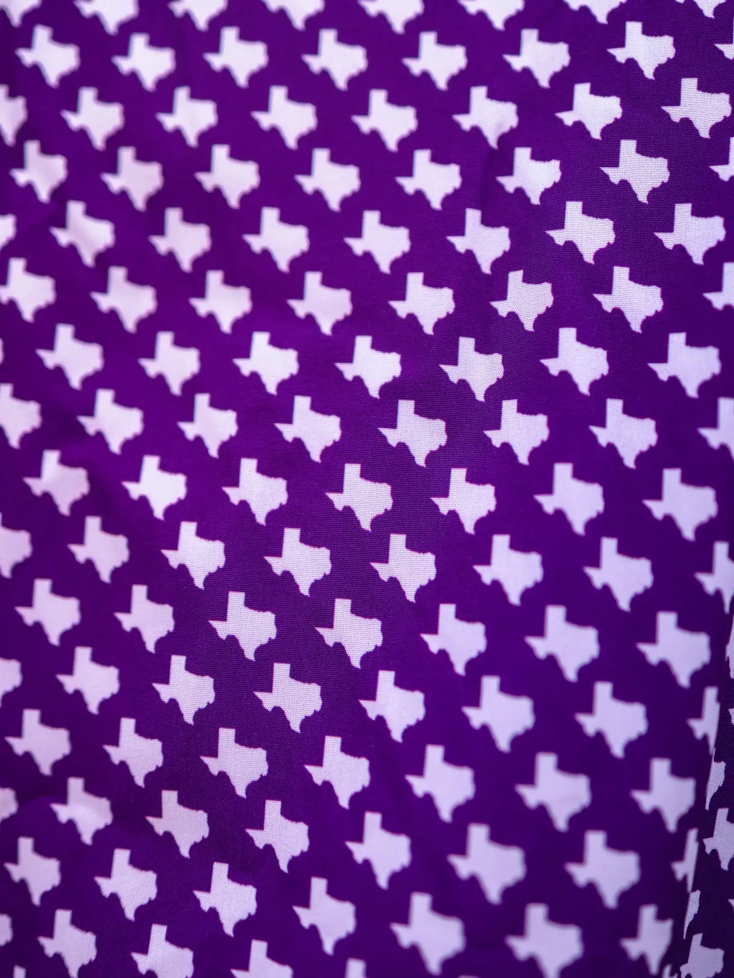 The Fort Worth Pearl Snap Fishing Shirt