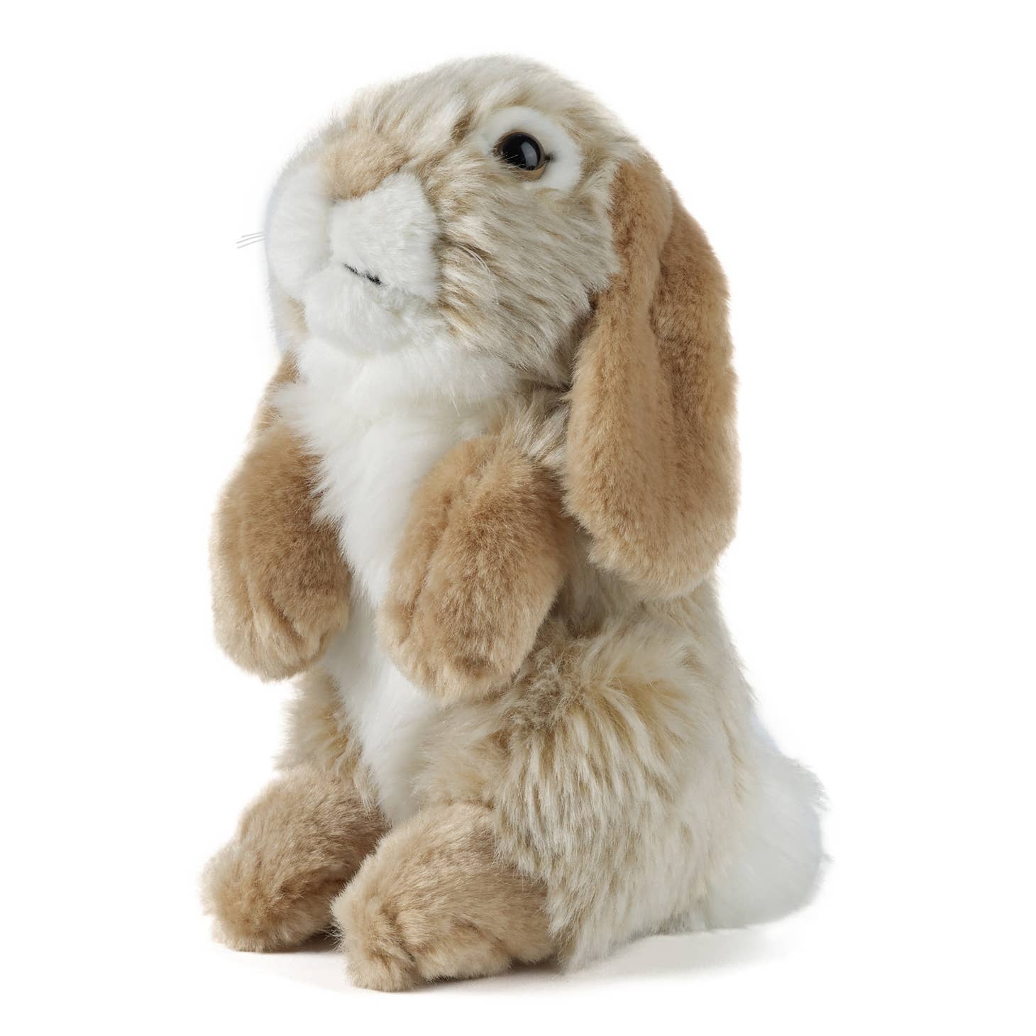 Stuffed Lop Eared Rabbit